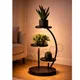 Light__Owesco